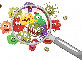 Кислородный коктейль против паразитов