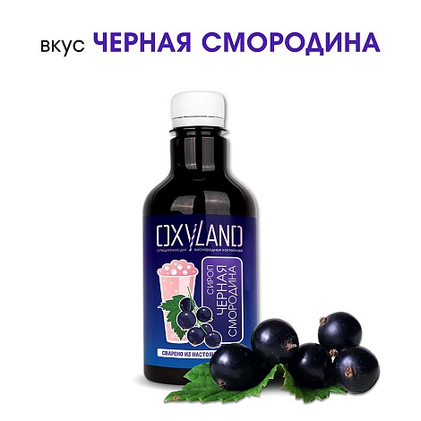 ЧЕРНАЯ СМОРОДИНА. Сироп 2 в 1 концентрированный. 330 мл
