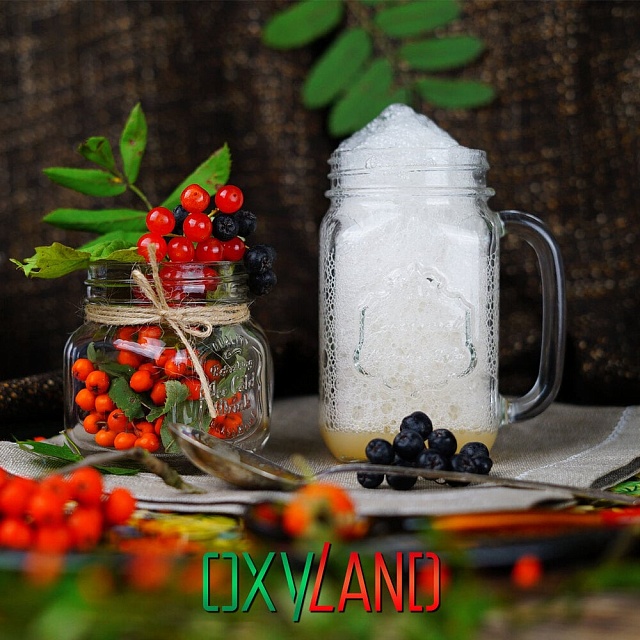Набор OXYLAND для кислородных коктейлей "Шиповник"