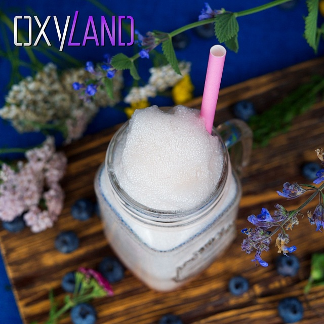 ЧЕРНАЯ СМОРОДИНА. Сироп 2 в 1 концентрированный. 330 мл