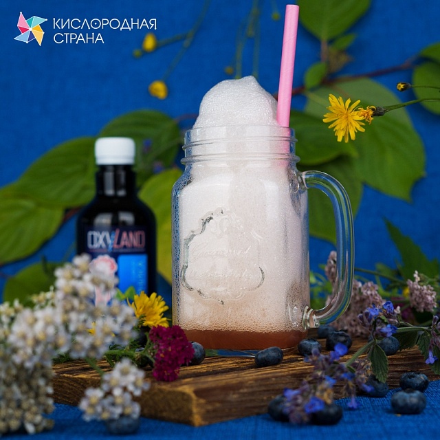 ЧЕРНИКА. Сироп 2 в 1 концентрированный. 350 мл