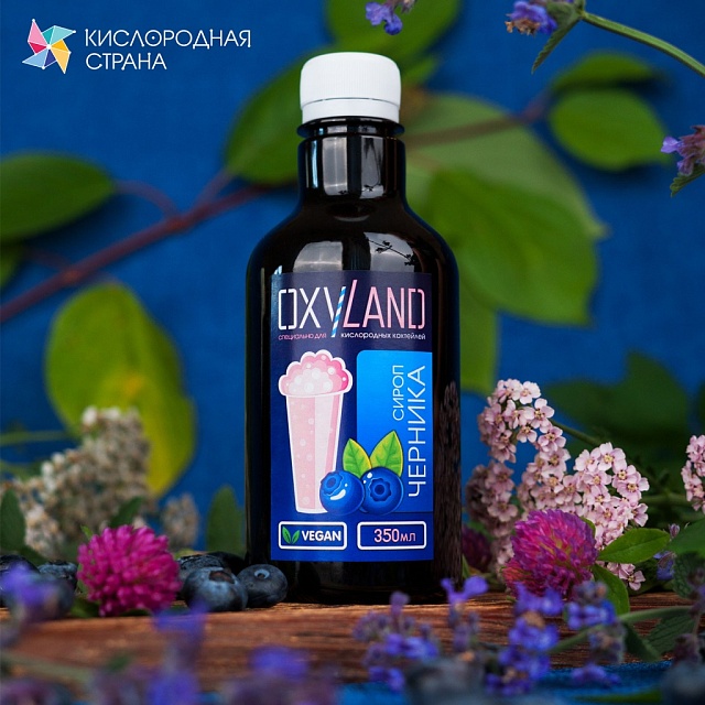 ЧЕРНИКА. Сироп 2 в 1 концентрированный. 350 мл