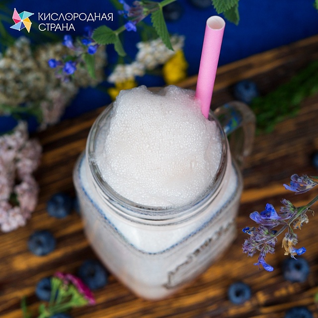 ЧЕРНИКА. Сироп 2 в 1 концентрированный. 1 л